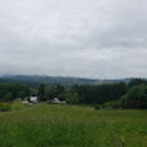 Meet your Posher, Thomas